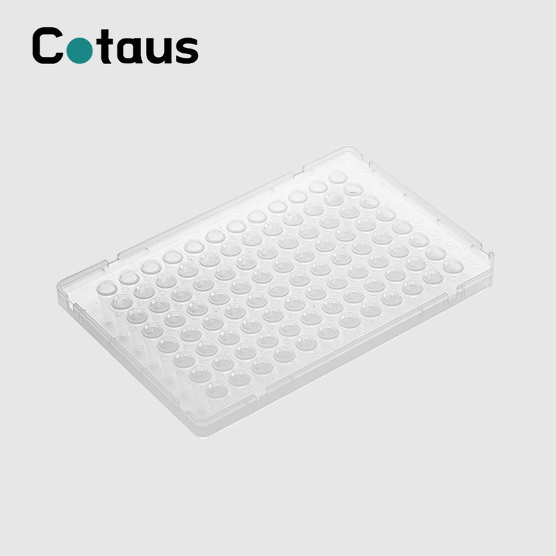 96웰 0.1ml 더블 컬러 풀 스커트 PCR 플레이트