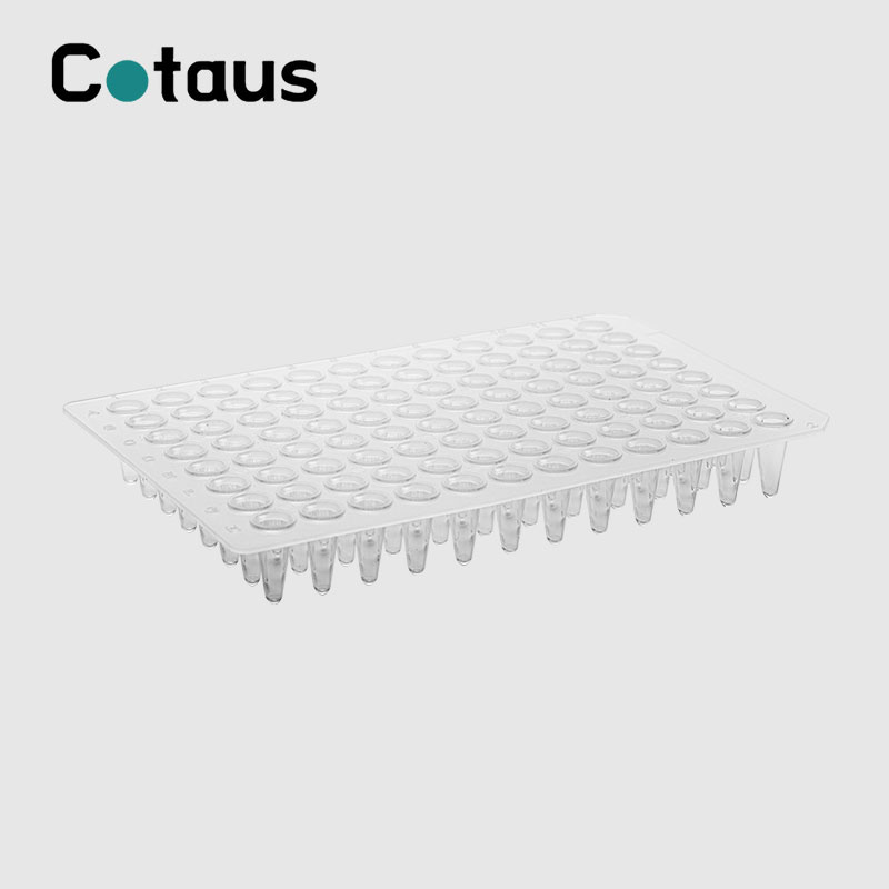 96웰 0.1ml 투명 스커트 없음 PCR 플레이트